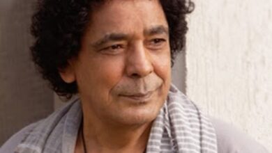 التحفظ على لودر تعدى على أرض بجوار فيلا محمد منير بأسوان