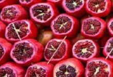 هل مرضى القولون ممنوعون من تناول الرمان؟