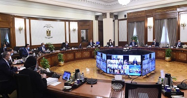 مجلس الوزراء يوافق على تعديل قائمة أنواع الكلاب الخطرة من 16 نوعا لـ3 فقط