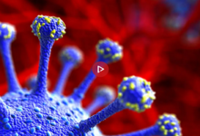 بعد ارتفاع الإصابات.. ما هو فيروس H1N1؟ أعراضه وخطورته وطرق العدوى والوقاية