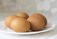 ما يحدث عند تناول البيض لمدة أسبوعين بشكل متواصل؟.. لن تتوقع الإجابة