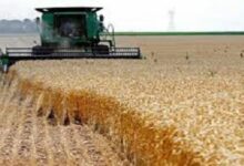 طلب احاطة يكشف حصول جهاز مستقبل مصر على 150 مليون دولار "عمولة" قمح