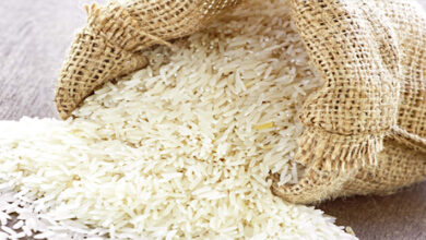 تراجع المخزون الاستراتيجي من محصول الأرز و عجز في الكميات المعروضة