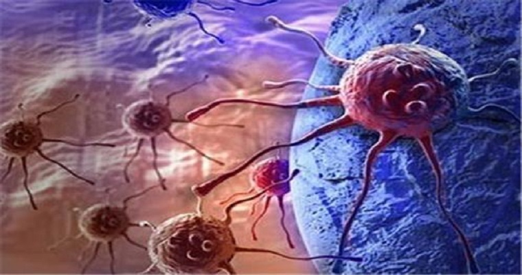 ثورة في علاج السرطان ..اكتشاف حبة تقضى على أورام الثدى والبروستاتا والمخ