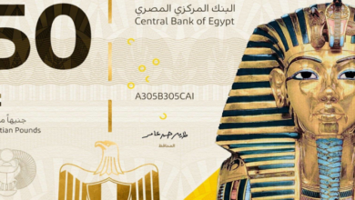 ضجة في مصر بسبب ورقة 50 جنيهاً جديدة بتمثال فرعوني
