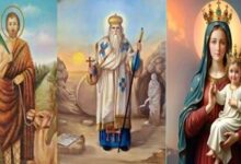 نياحة القديس الأنبا رويس