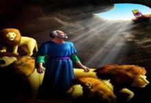 نياحة الصديق العظيم دانيال النبي